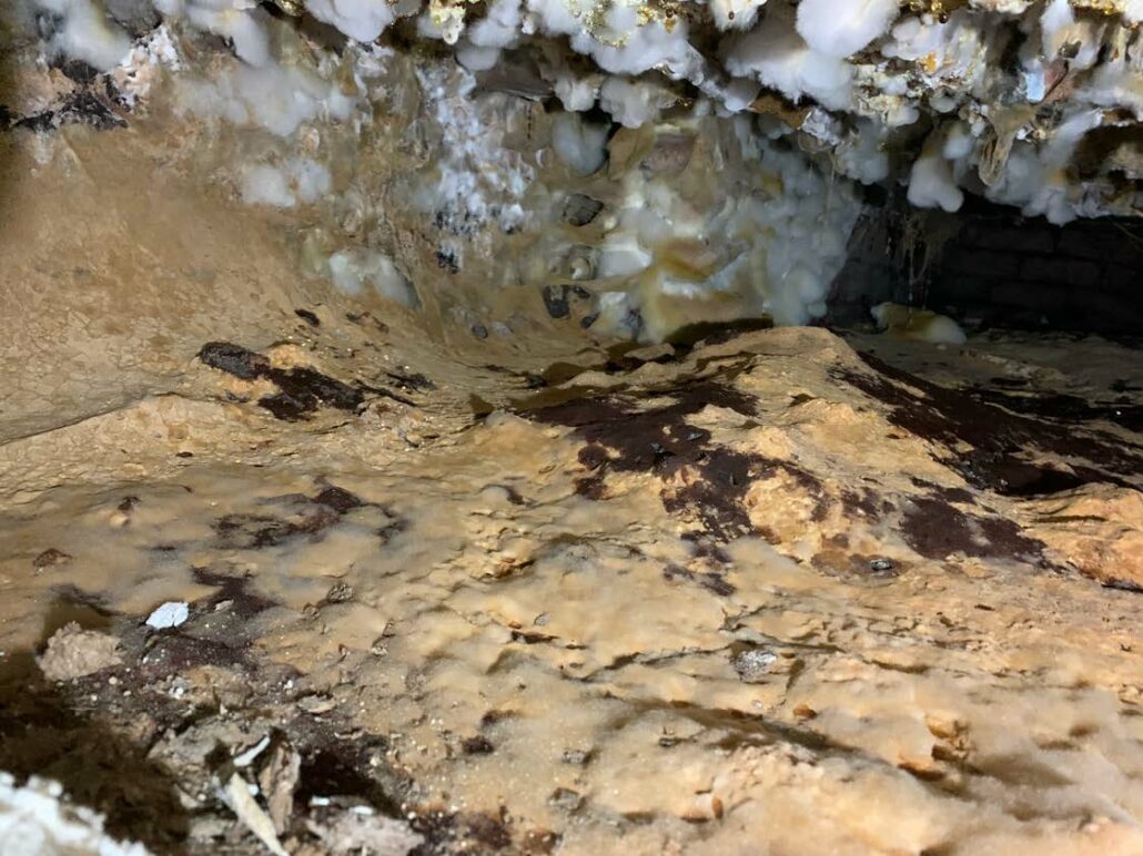 Images under dining room floor