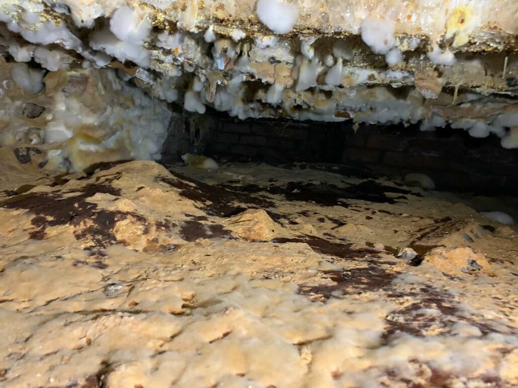 Images under dining room floor