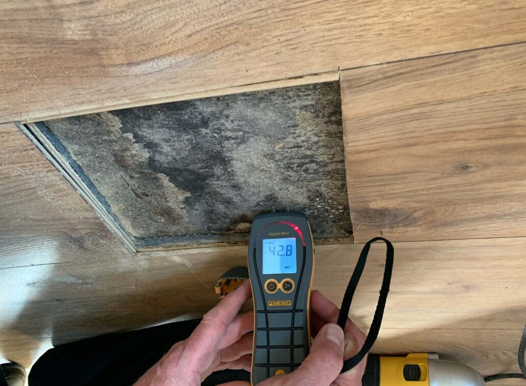 Moisture Level in Floorboards
